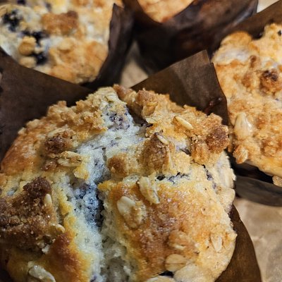 Blueberry Muffin 