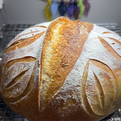 Whole Sourdough Loaf 