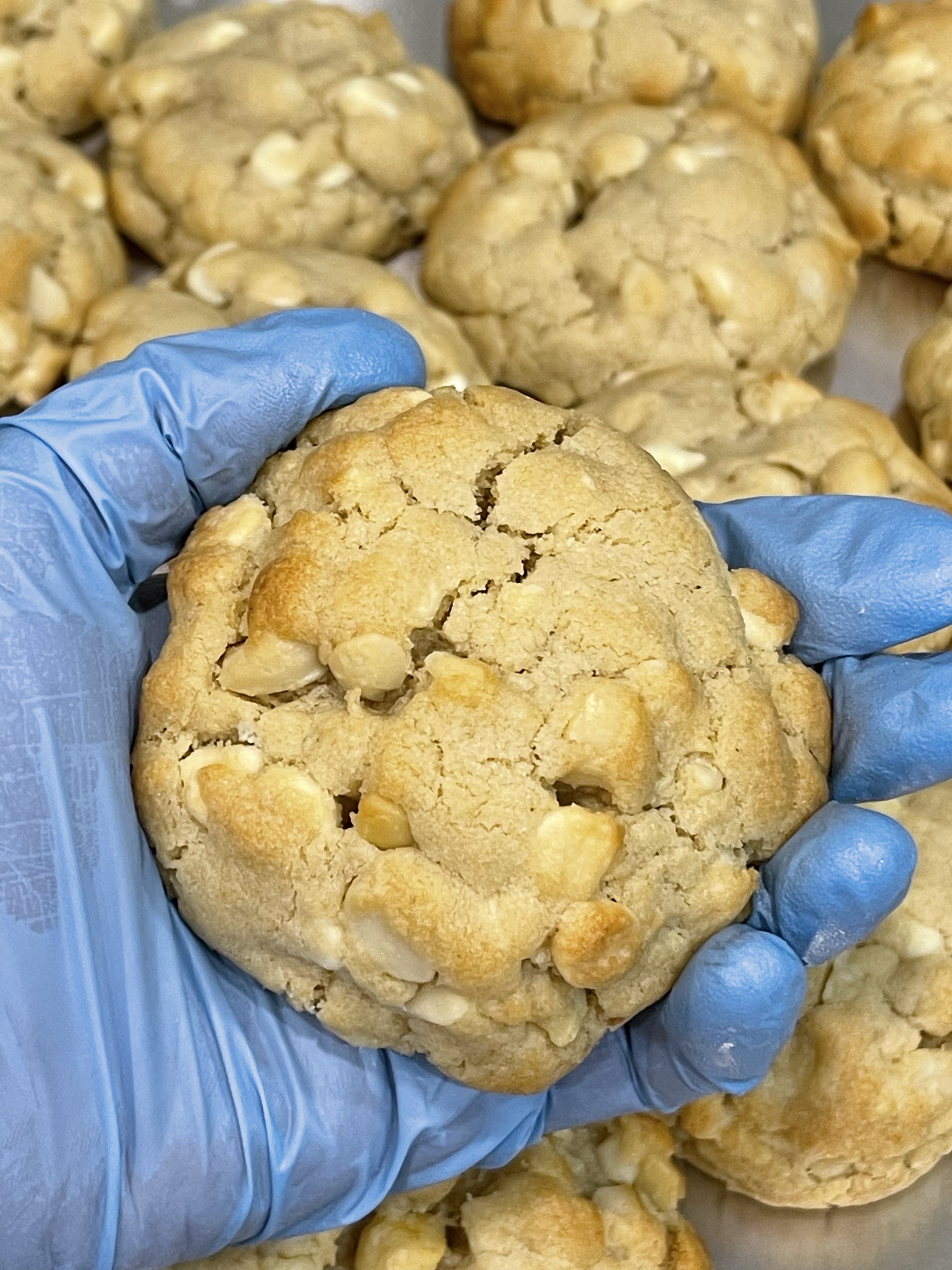 White Chocolate Macadamia Nut Cookies (1/2 Dozen)