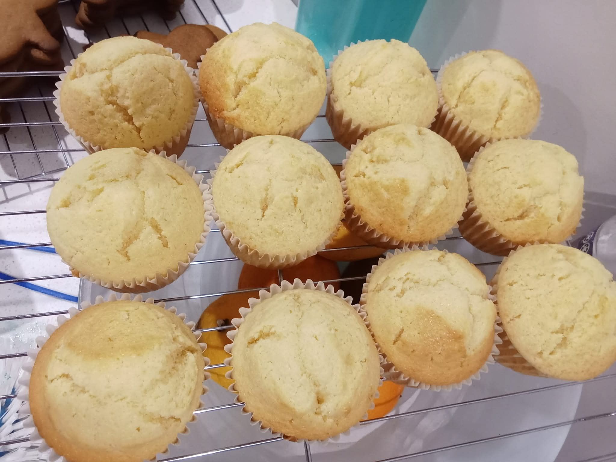 Fruit Salad Muffins 6 Pack