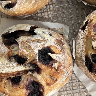 Half Blueberry Lemon Artisan Sourdough