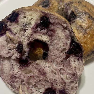 Blueberry Bagel