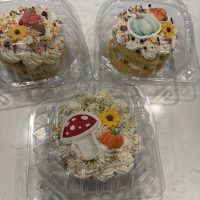 4” 1 Layer Cake