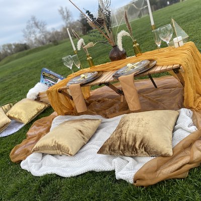 Luxury Picnic 