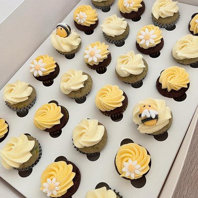 Mini Cupcakes - 48 Pack Deal