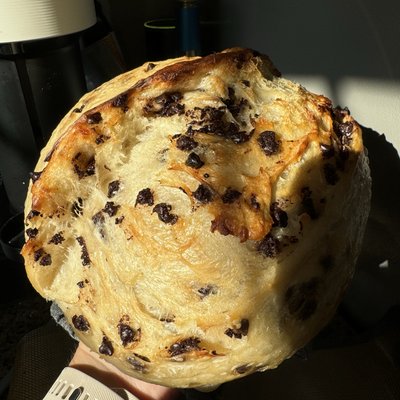 Chocolate Chip Sourdough