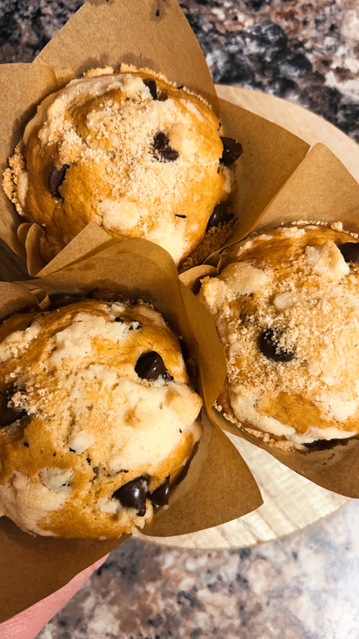 Chocolate Chip Muffins