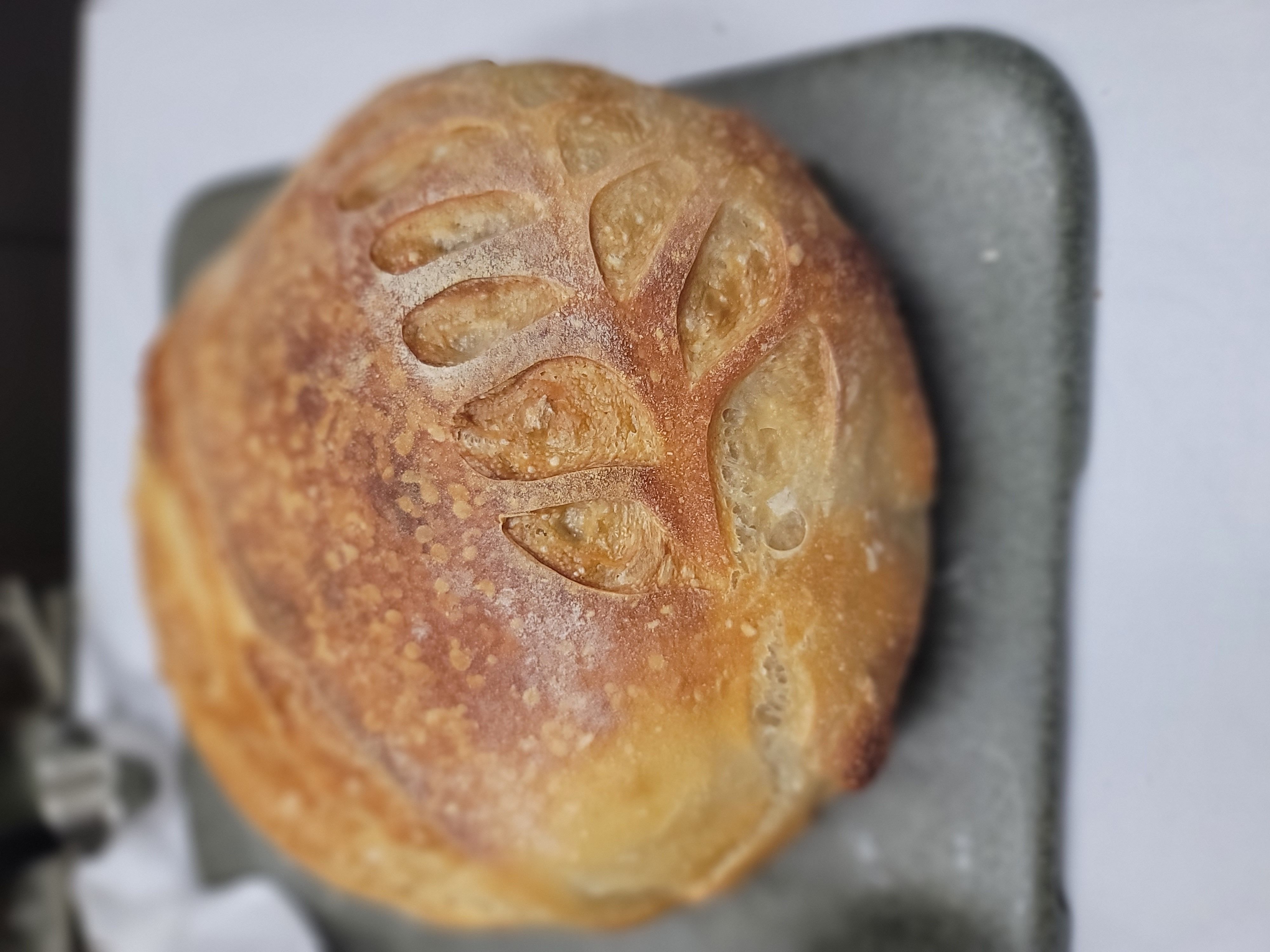 Artisan Sourdough Boule