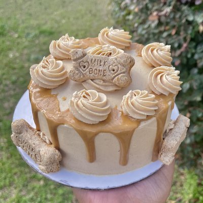 Doggie Cake