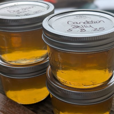 Sunshine in a Jar – Dandelion Jelly