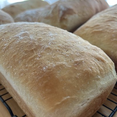 Sourdough Discard Sandwich Bread