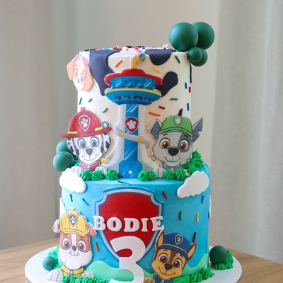 Custom Cake 