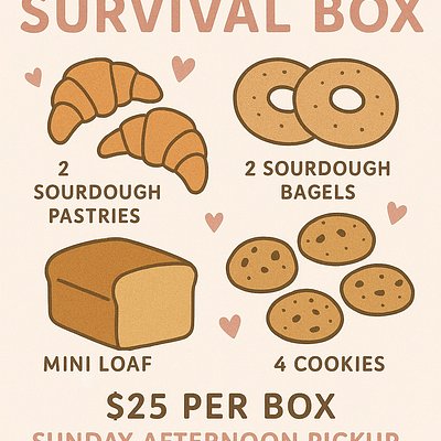 SAHM Survival Box