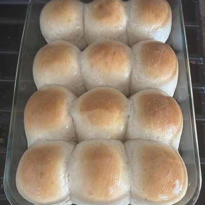 Dinner Rolls 