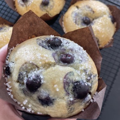 Sourdough Lemon Blueberry Jumbo Muffin