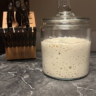 Dehydrated Sourdough Starter (Cosmo) 