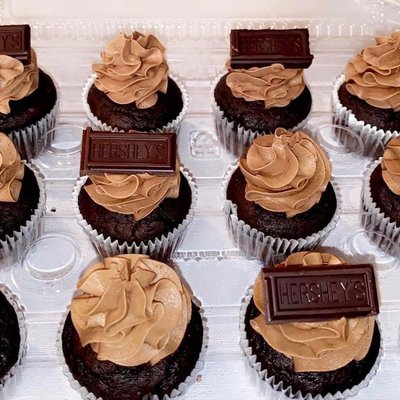 Double Chocolate Cupcakes 