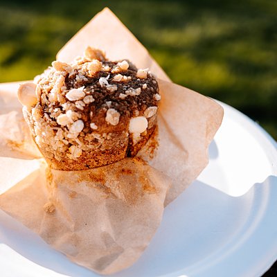 4 Pack Large Sourdough Pumpkin Spice Muffins 