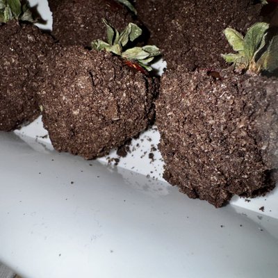 Oreo Chocolate Covered Strawberries (A Dozen)