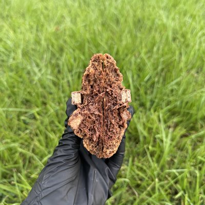 Nutella KitKat Crisp