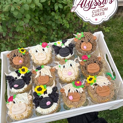 Speciality Cupcakes 