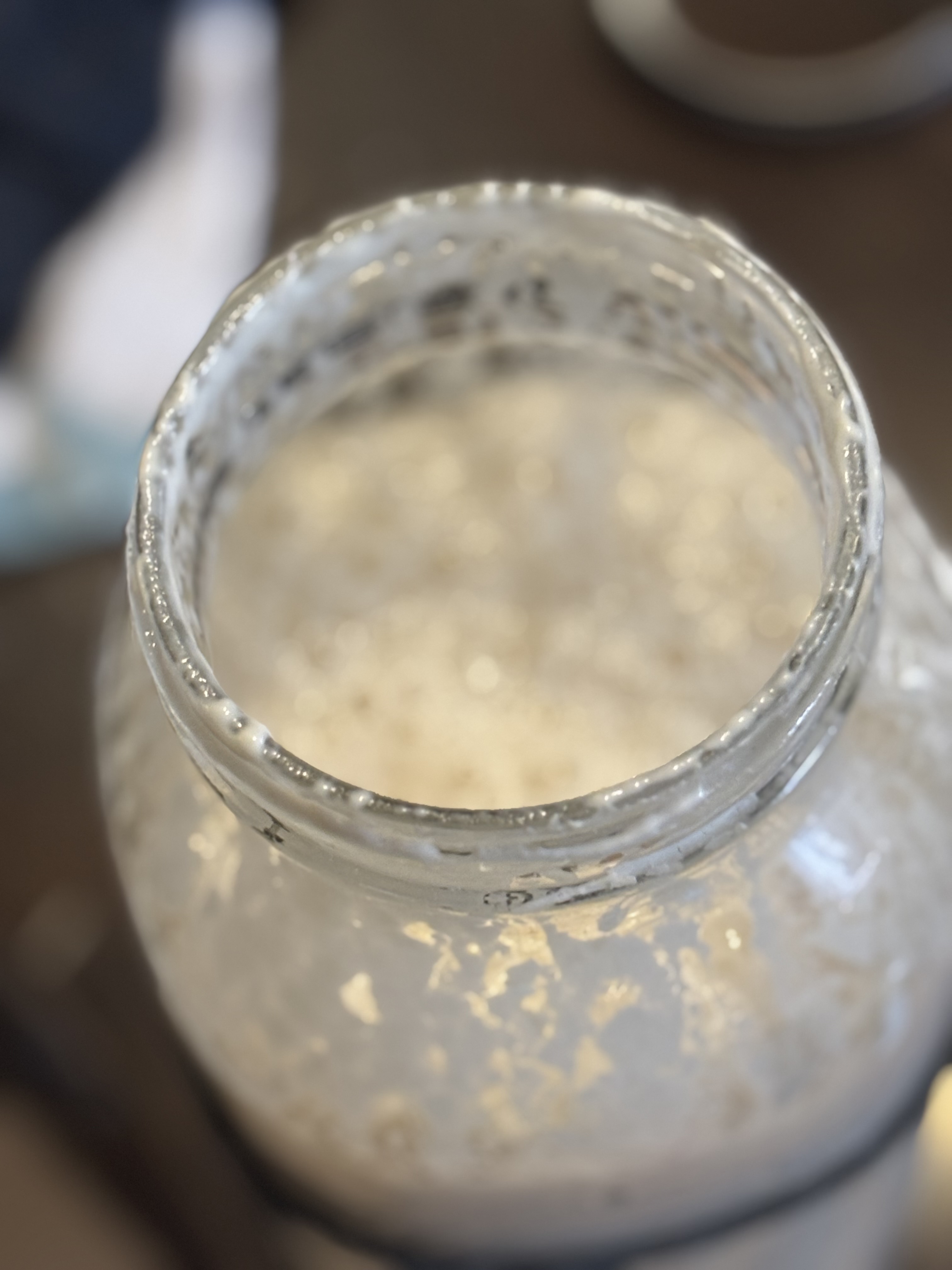 Sourdough Starter 
