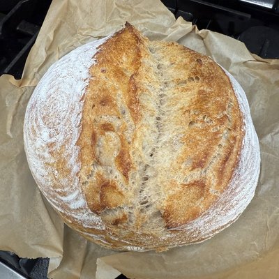 Plain Round Loaf