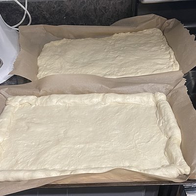 Take And Bake Sourdough Pizza Dough 
