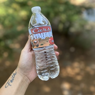 Water Bottles (16.9oz)