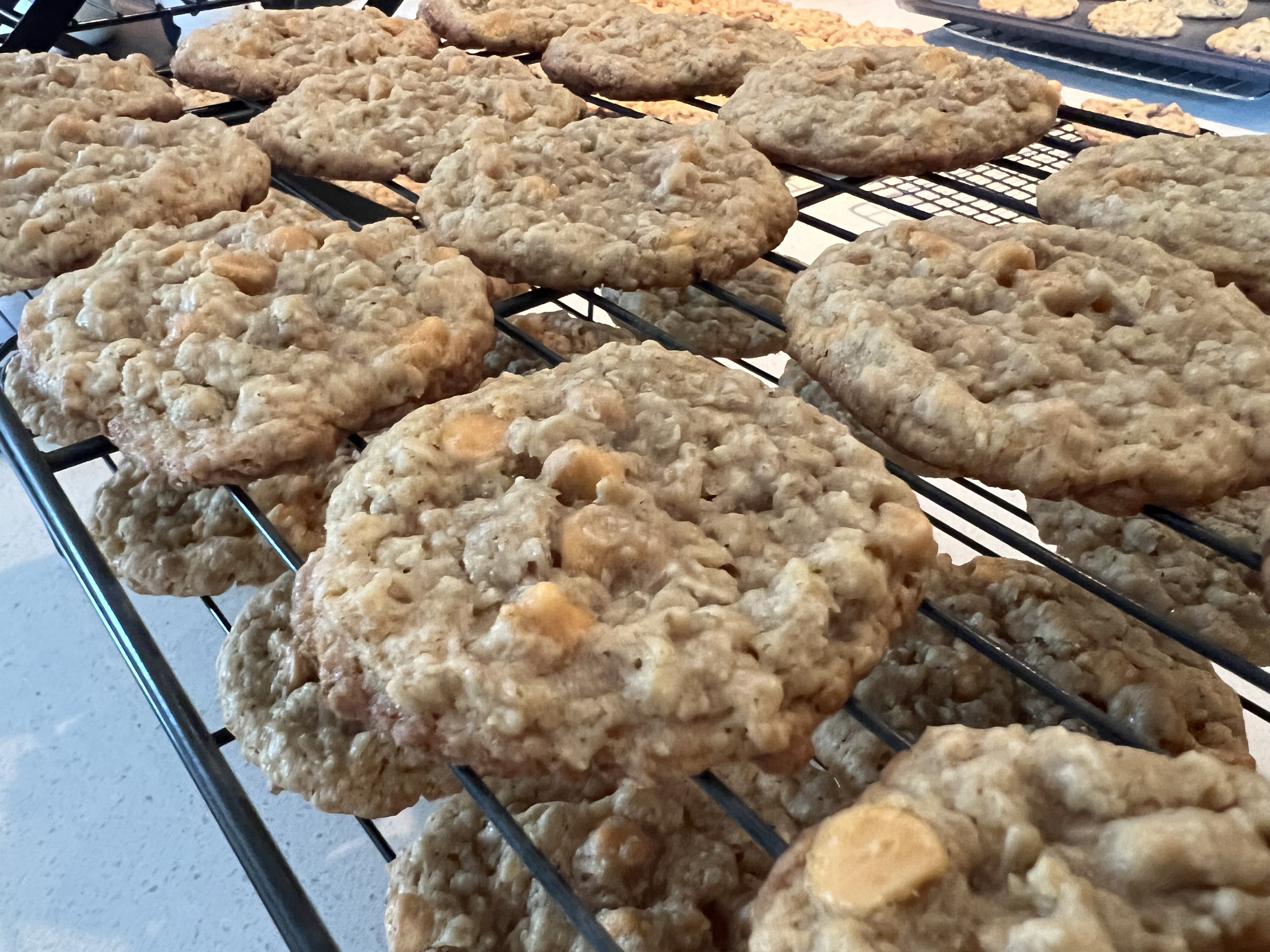 Oatmeal Scotchies 