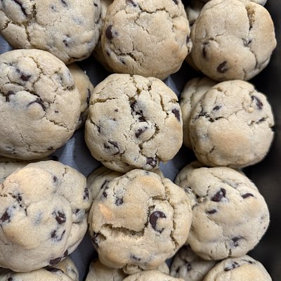 Gourmet Chocolate Chip 