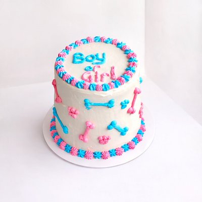 4 inch Gender Reveal Dog Cake (2 Layers)