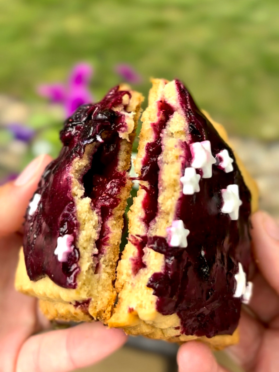 Berry Brave Poptart 