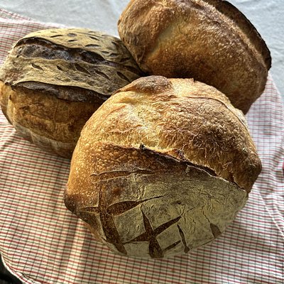 🍁 Walnut & Cranberry Sourdough Bread