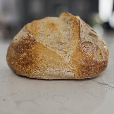 Plain Sourdough
