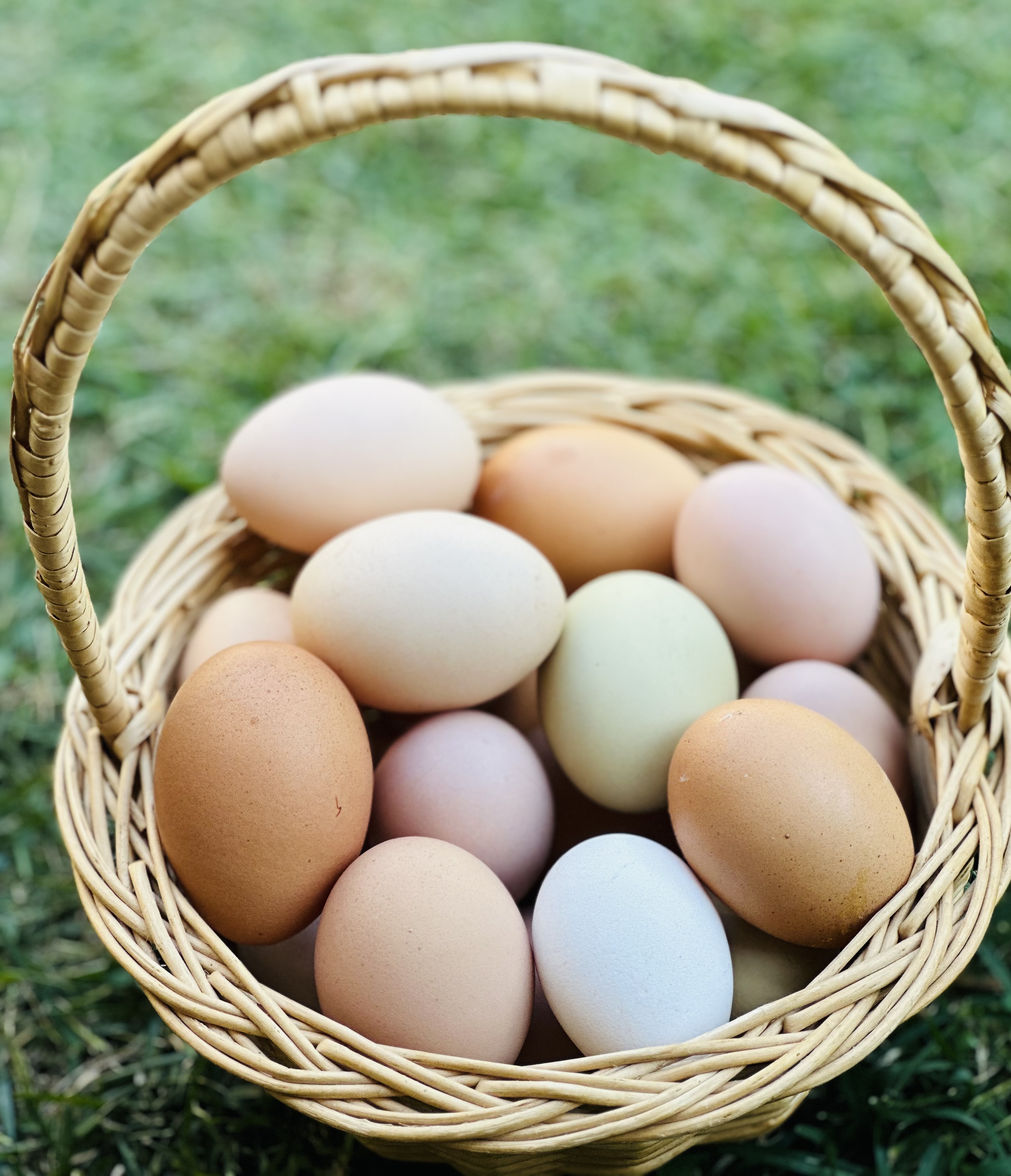 Farm Fresh Eggs (When Available)