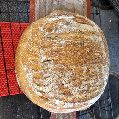 Sourdough Loaf