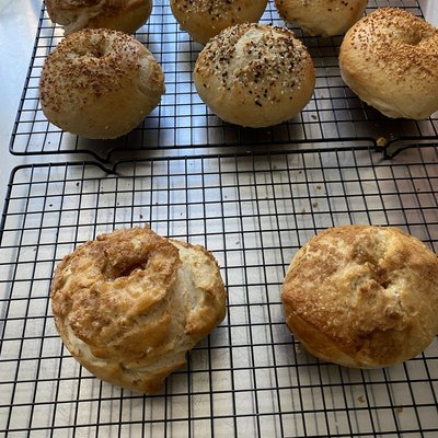 Sourdough Bagels
