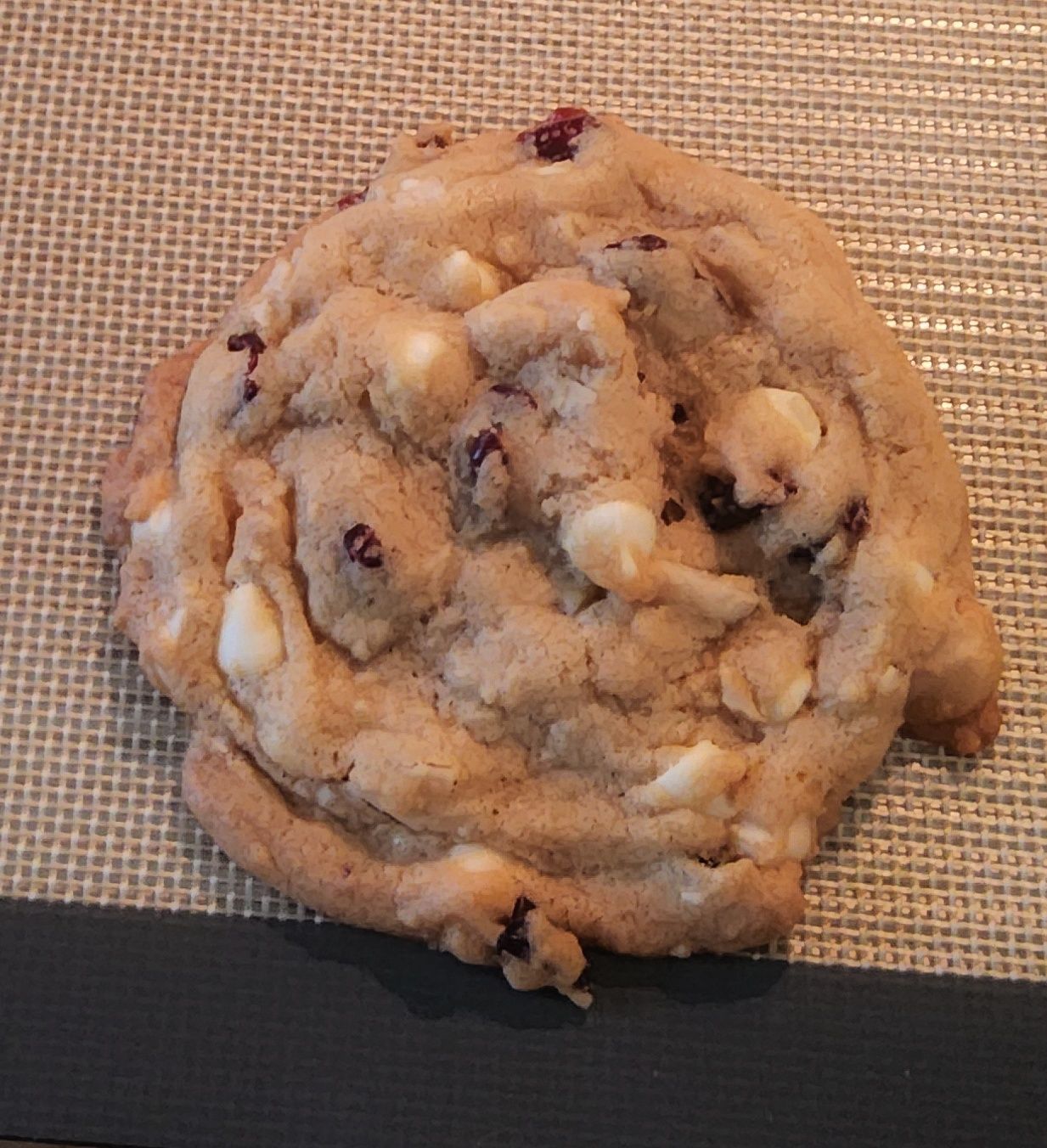 White Chocolate Cranberry And Macadamia Nut