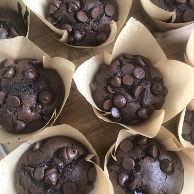 double chocolate chip muffins