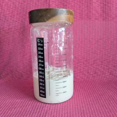 Active Sourdough Starter
