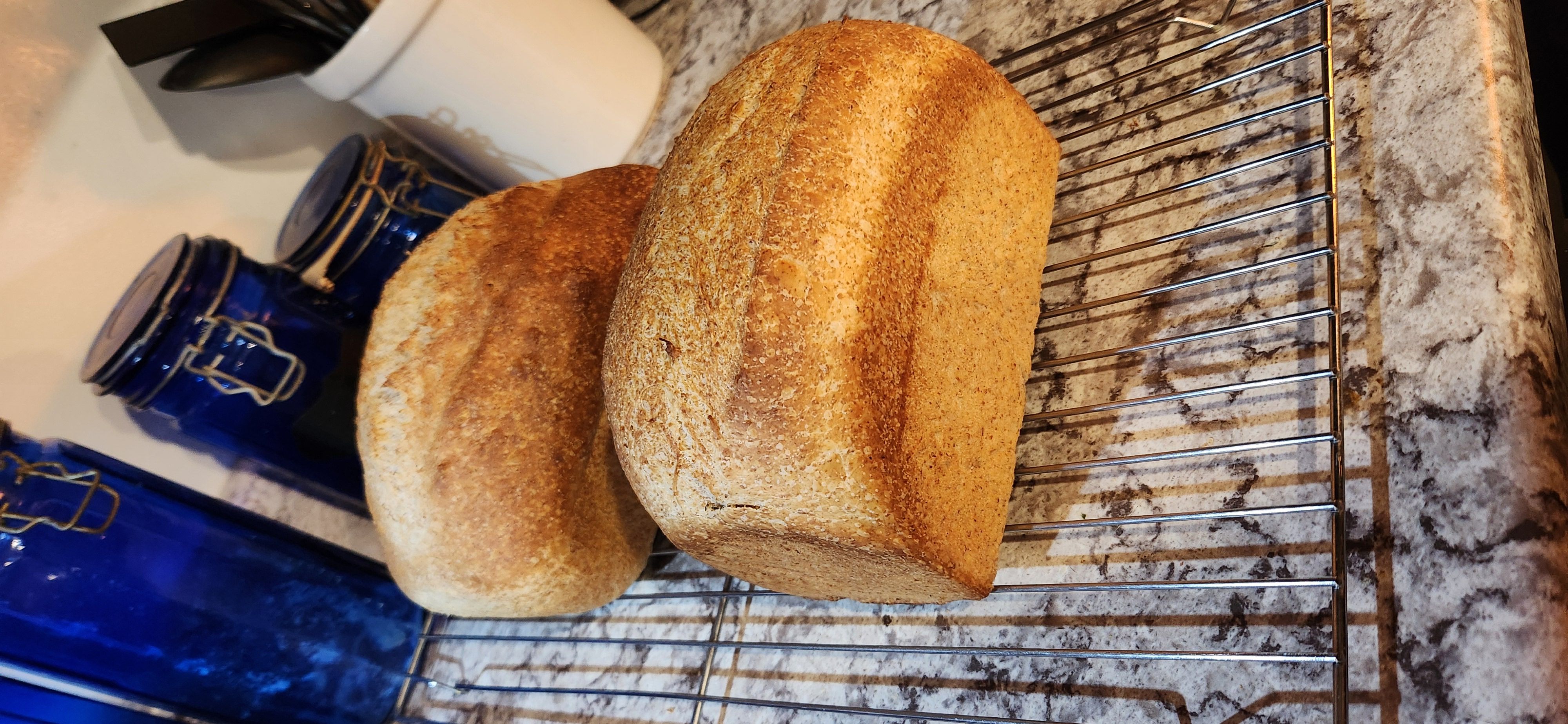 Honey Wheat Sandwich Loaf 