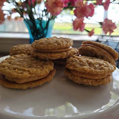 Regular Sized Cookies 