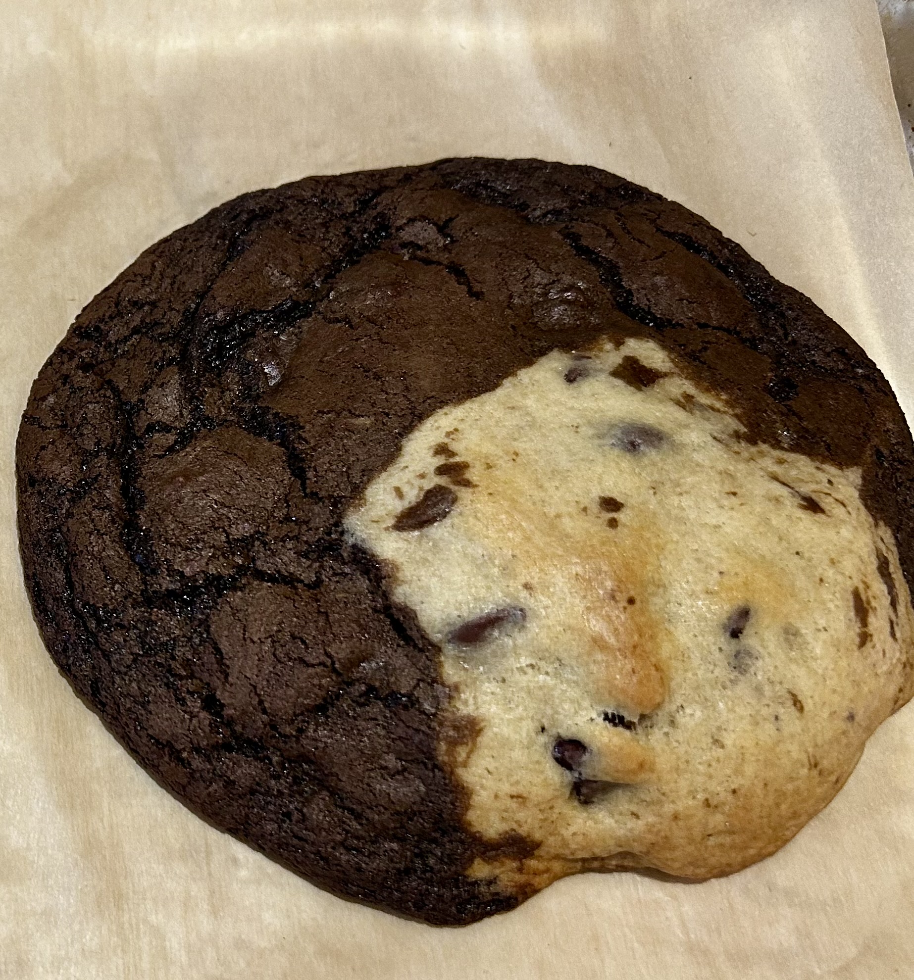 Brookie