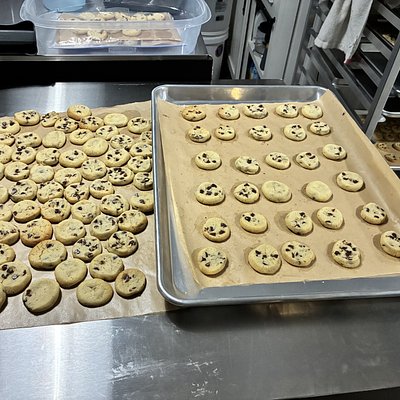 Chocolate Chip Mini Bites W/ Chocolate Sauce