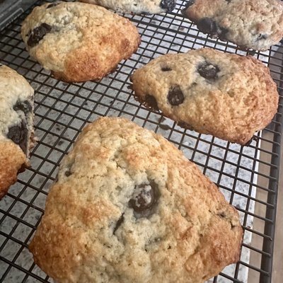 Sugar Free Lemon Blueberry Scones 8 Pk 