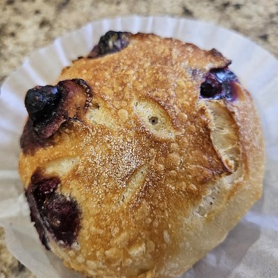 Blueberry Cream Cheese Sourdough 