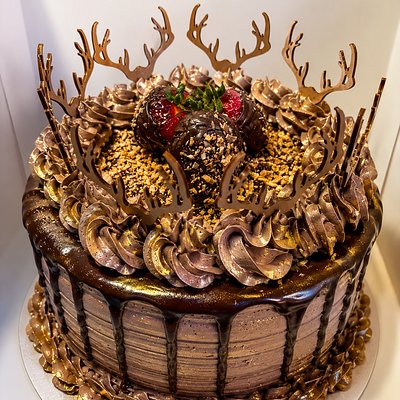 Chocolate Coconut Ganache Cake 