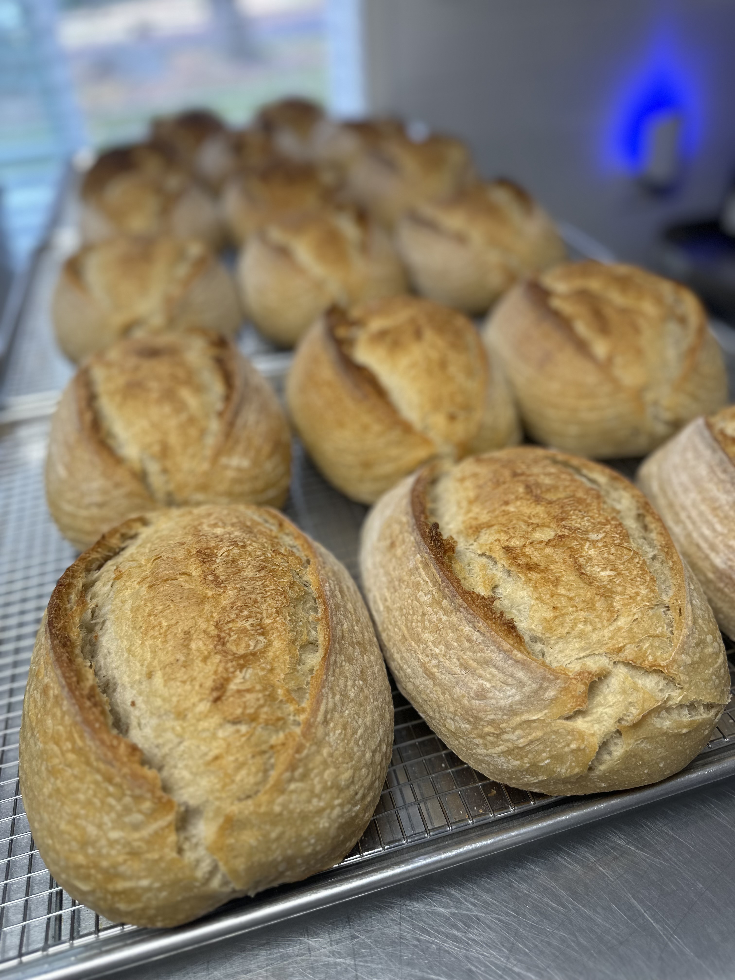 Sourdough 101 Tuesday December 9th @ Noon