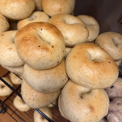 Sourdough Bagels 